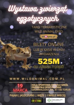 Toruń Wydarzenie Wystawa WYSTAWA ZWIERZĄT EGZOTYCZNYCH / TARGI TERRARYSTYCZNE WILD ANIMAL EXPO TORUŃ 19-03-2023